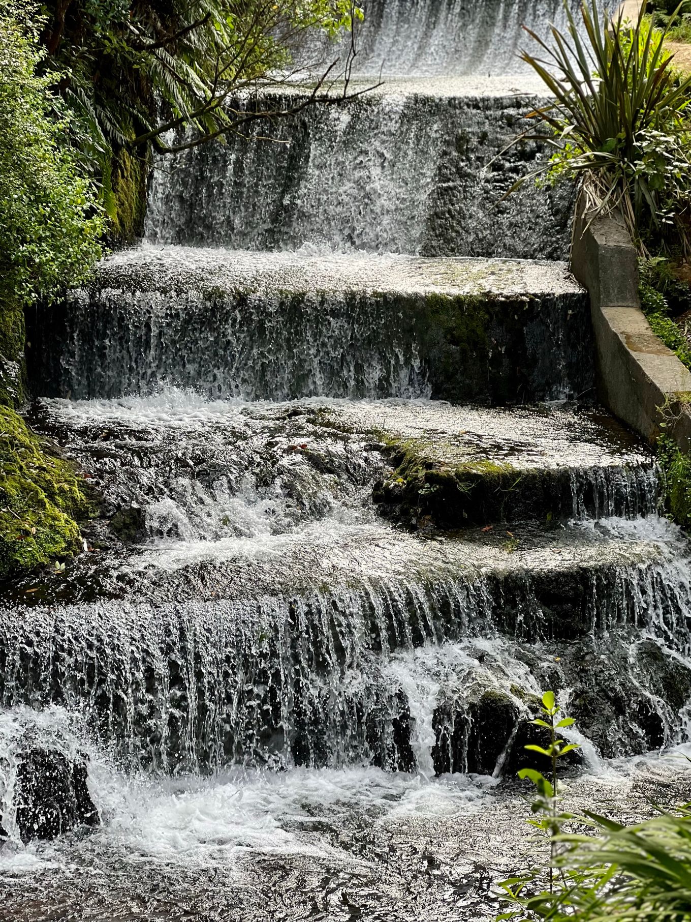 The Historic Korokoro Dam